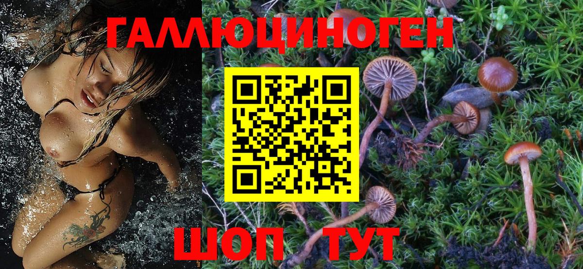 Псилоцибиновые грибы Psilocybe Семилуки