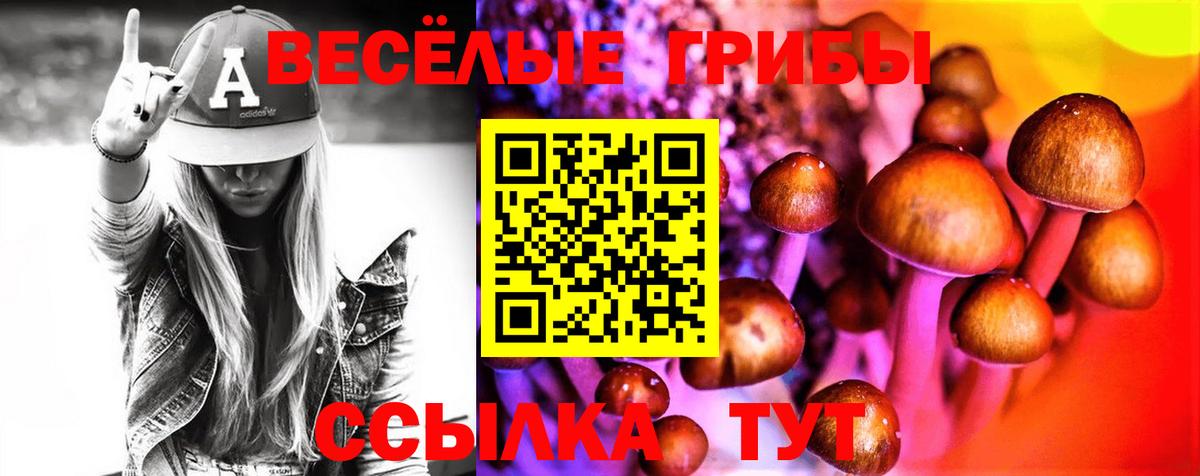 хочу   Вход с VPN  Семилуки  Псилоцибиновые грибы мицелий 